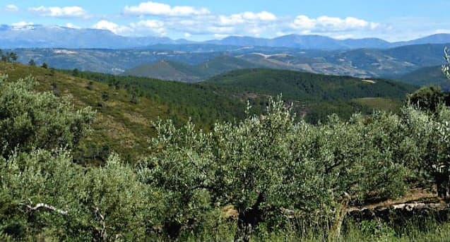 Vistas de la Sierra de Francia desde Herguijuela de la Sierra – Destino Castilla y León