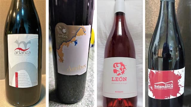 Vinos catados en Pequeñas DOs de Castilla y León - Wine Inspirers